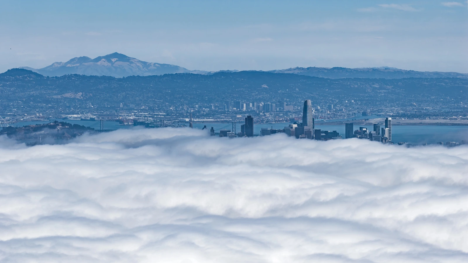 San Francisco skyline above a layer of Bay Area fog